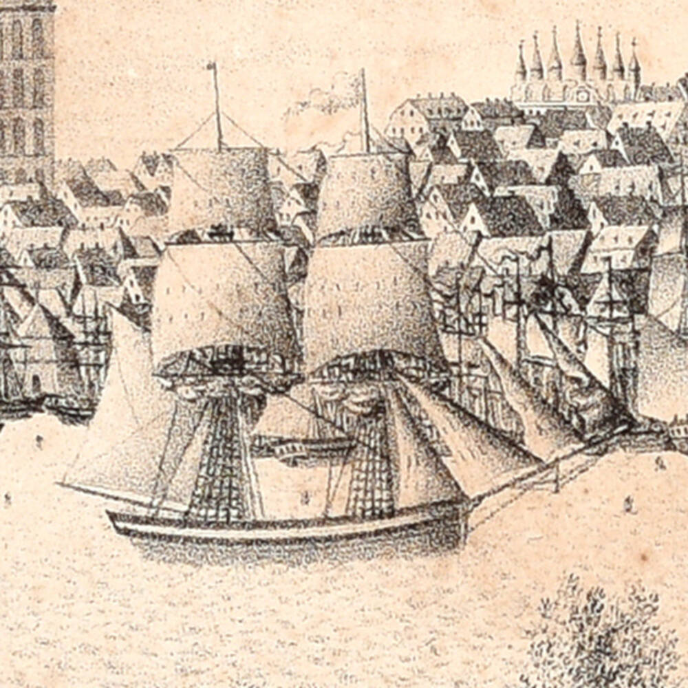 Galliot